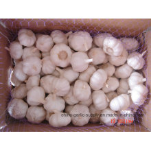 Chinese Pure White Garlic